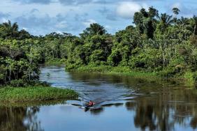 Advancing Prosperous Forests in Peru Image.