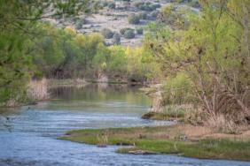 Intel Reaches 1 Billion Gallons of Water Restored Image.