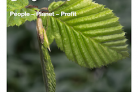Innovating for Balance People - Planet - Profit Image