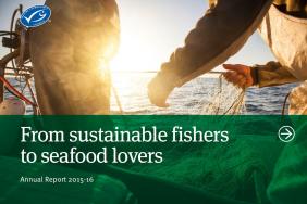 New Report Shows Accelerated Growth in the Sustainable Seafood Supply Chain as MSC Certified Catch Nears 10 Million Tonnes Image