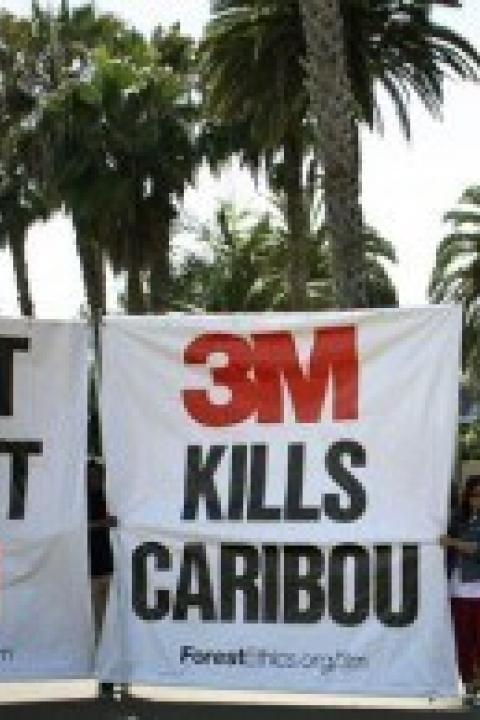 3m-sustainable-brand-protest1-300x1941.jpg