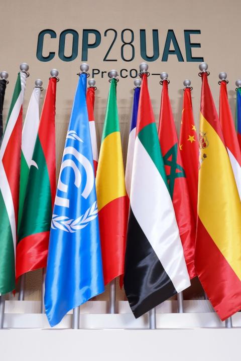 COP28 UAE flags