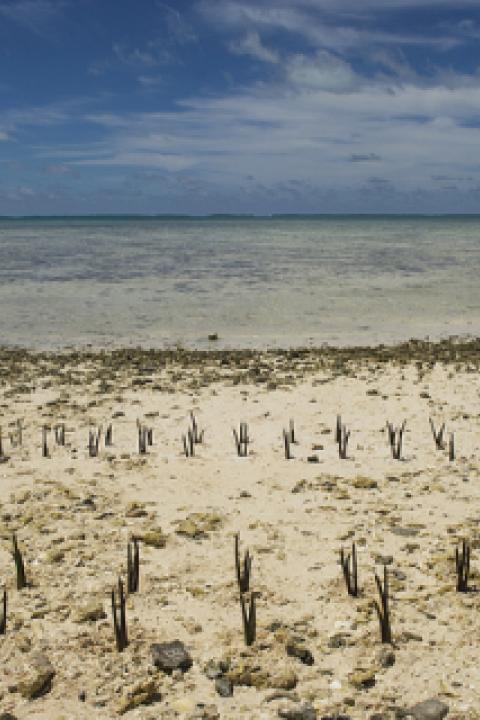 Climate-Change-Effects-in-Island-Nation-of-Kiribati.jpg