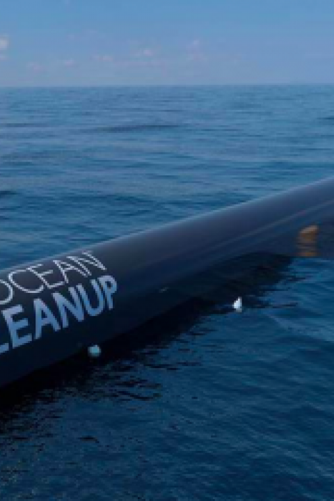 The-Ocean-Cleanup.png