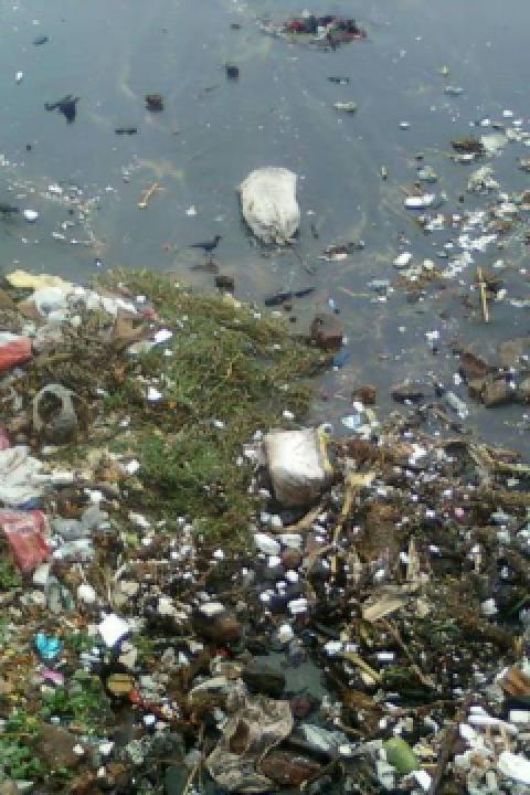 Water_pollution_due_to_domestic_garbage_at_RK_Beach_011.jpg