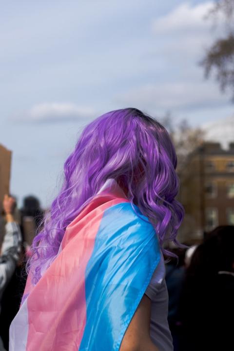 Woman with purple hair at protest wearing transgender flag