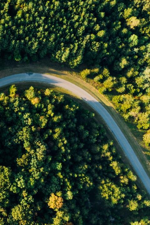 aerial shot of a road winding through a forest - forest conservation funding for Indigenous peoples