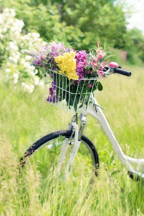 bicycle with flowers in the basket in a meadow during springtime