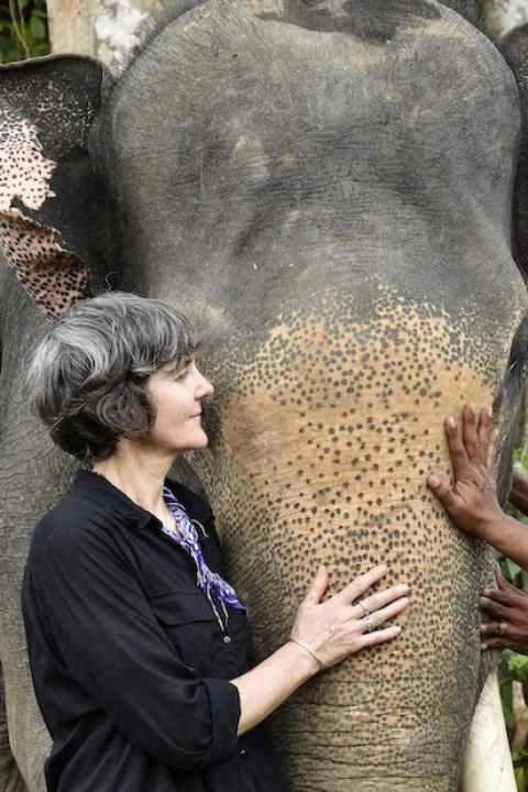 Nicole Rycroft canopy with elephant