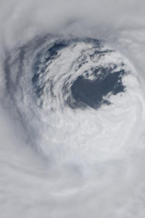 hurricane-michael.jpg