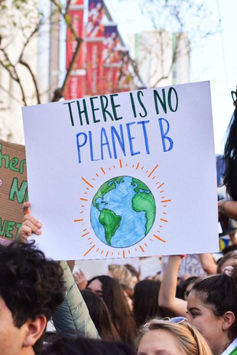 A photo of a protest including a sign that reads "There is no Planet B".