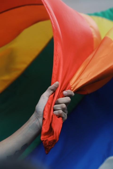 male hand holding rainbow pride flag - LGBTQ pride