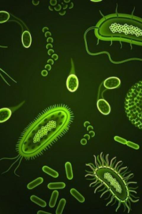 microbes.jpg