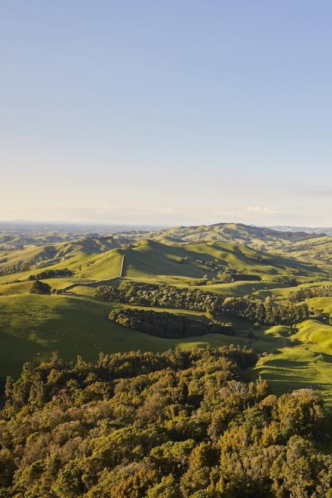 new zealand grasslands and rolling hills - sustainable agriculture