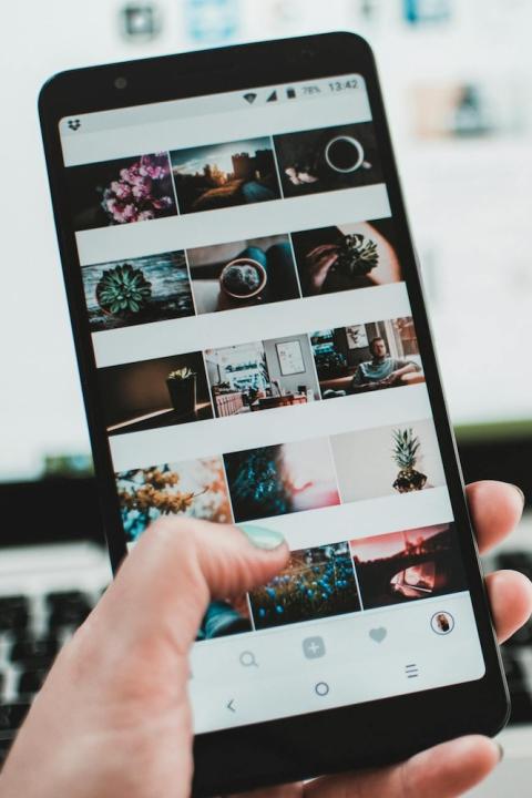 person viewing plant photos on instagram - sustainable home tips from social media