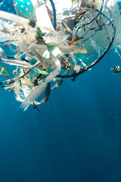 plastic pollution in the ocean - global plastics treaty