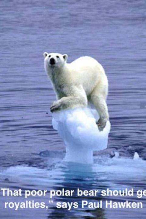 polar-bear-iceberg.jpg