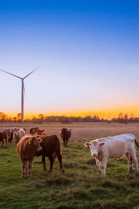 renewable energy on a farm