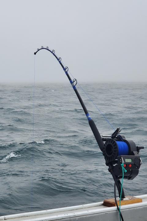 A rod and reel setup on a swordfish fishing boat.