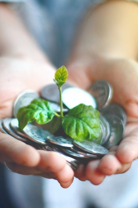 woman holding coins with plant growing out - sustainable finance - sustainability - green bonds