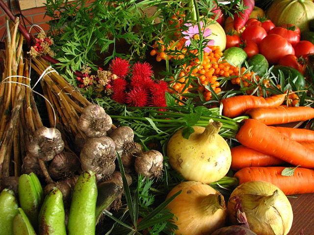 640px-Ecologically_grown_vegetables.jpg