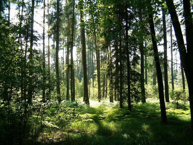 9050584913_d5b370c3cb_z.jpg