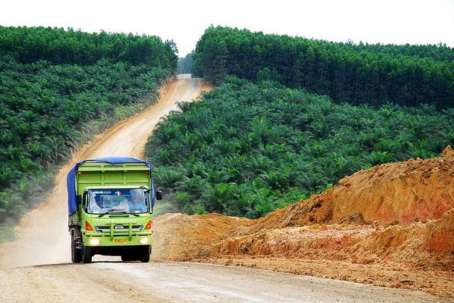A-palm-oil-plantation-in-rural-Indonesia.jpg