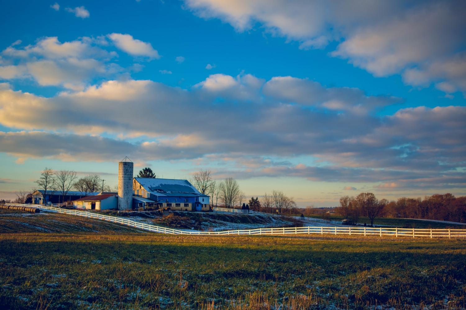 Agriculture