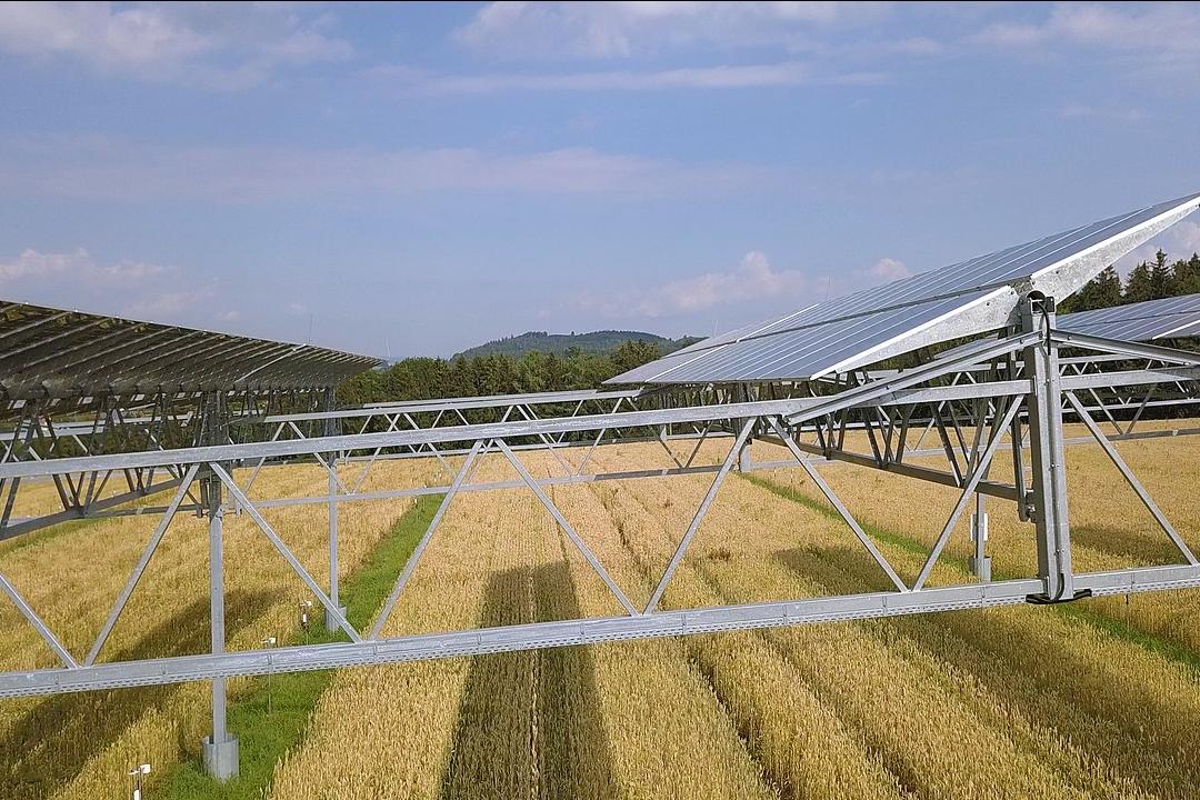 Five Signs that the Agrivoltaics Revolution Has Just Begun - TriplePundit