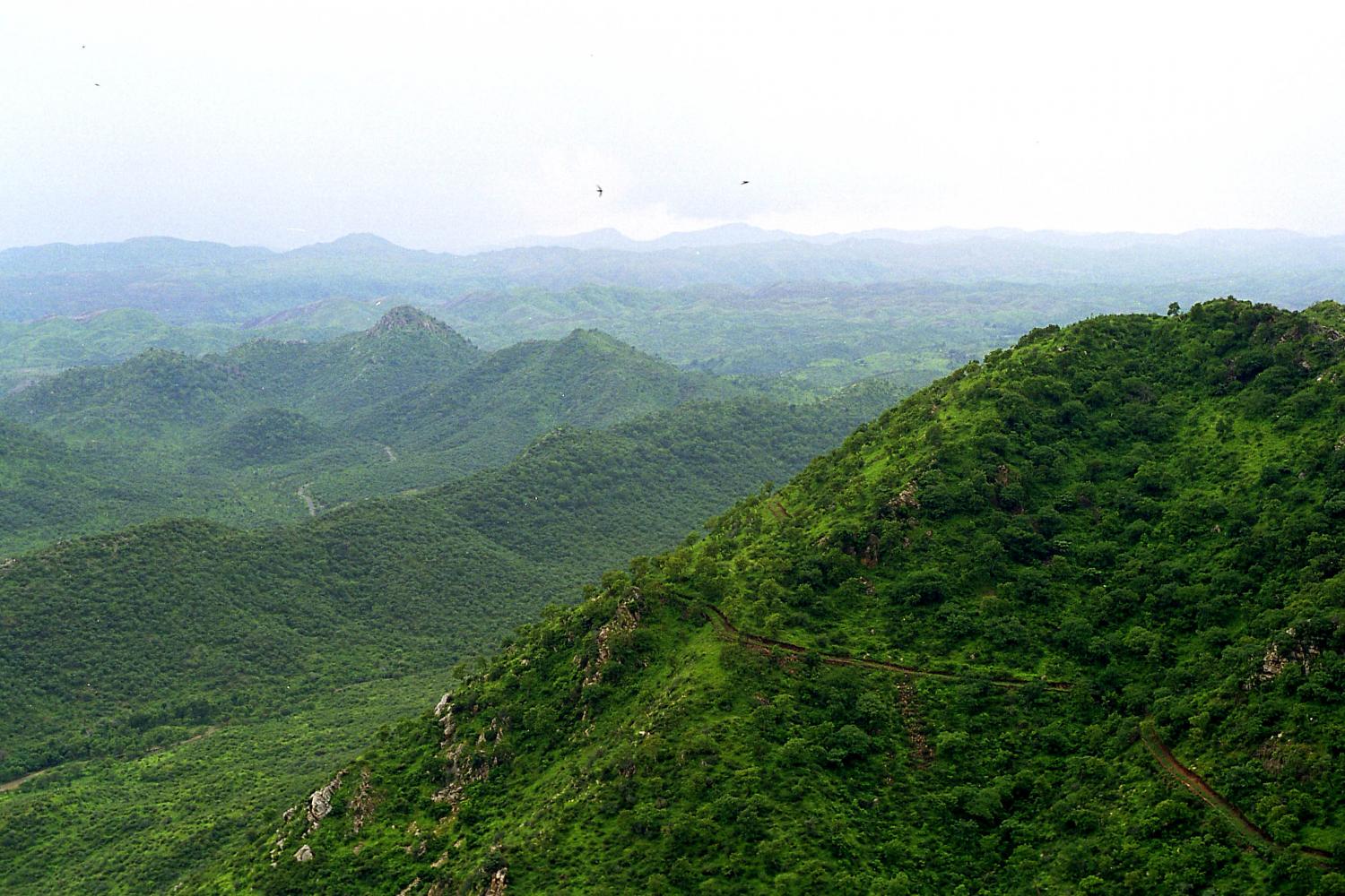 Aravali Hills