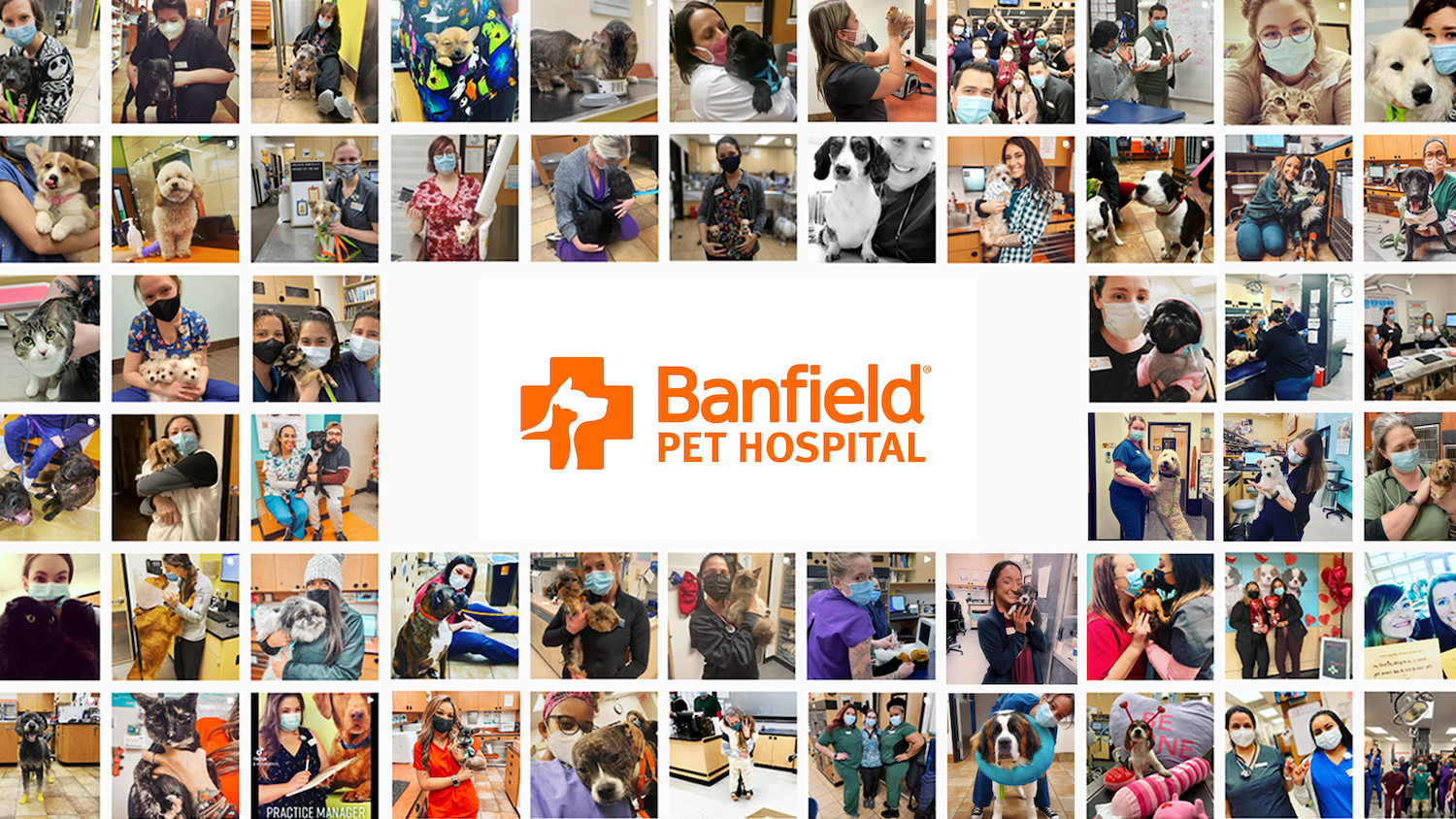 Banfield Pet Hospital employee grid