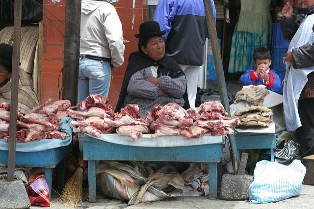 Bolivia_Bill_Gates_chickens_3rdparty.jpg