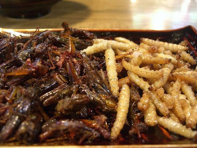 Deep-fried-grasshoppers-with-a-side-of-bamboo-worms.jpg