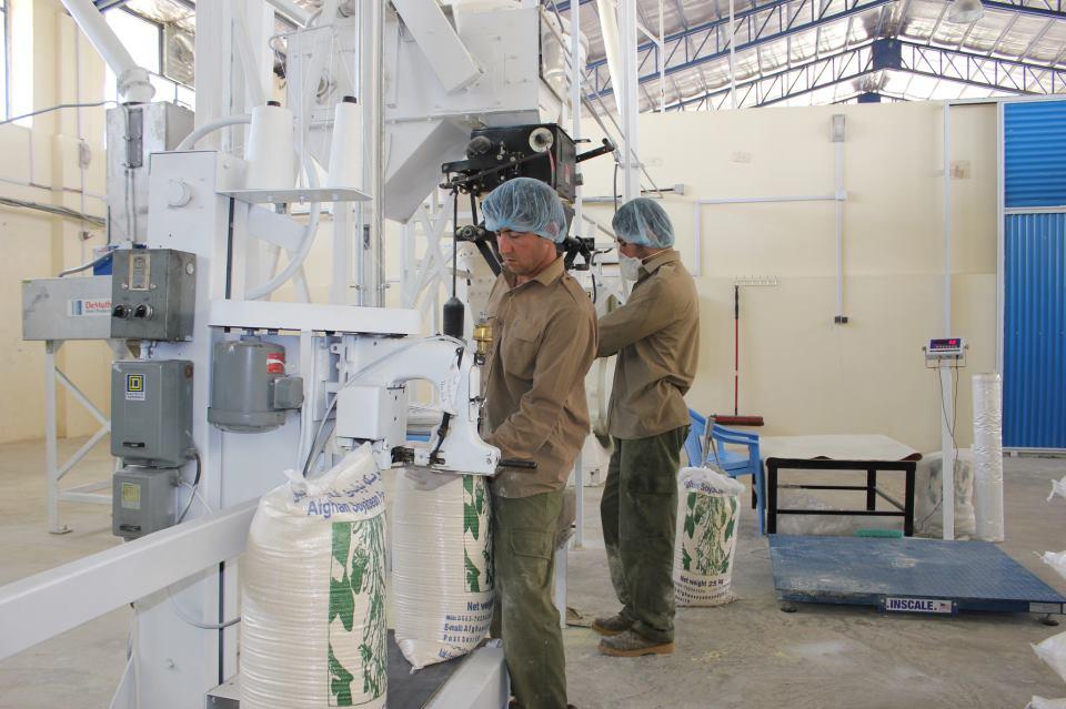 Employees-at-the-northern-Afghanistan-soy-flour-factory.jpg