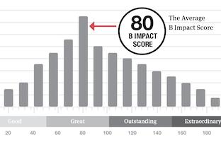 How B Corp Certification Helps Benchmark And Improve Performance