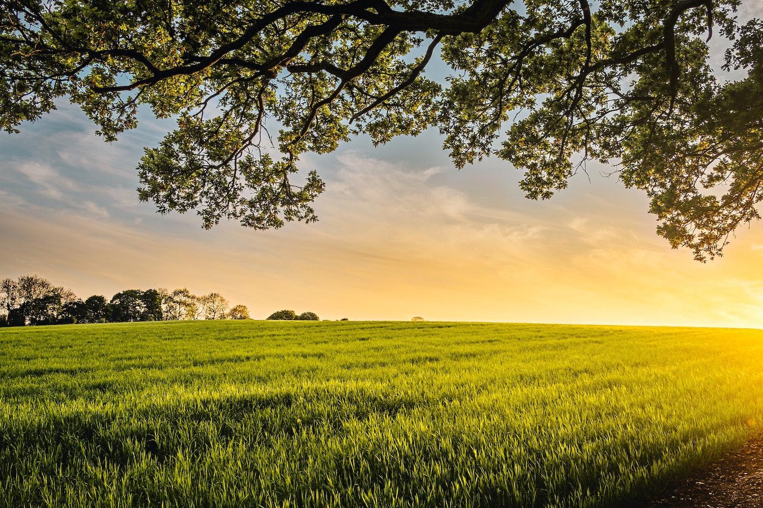 Farm fields during daytime - potential for carbon sequestration in soil