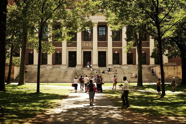 Harvard_University_VirtualWolf.jpg