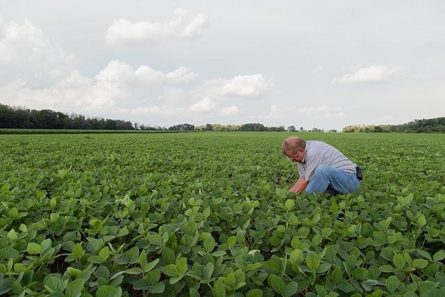 Monsanto_sustainability_soy_board1.jpg