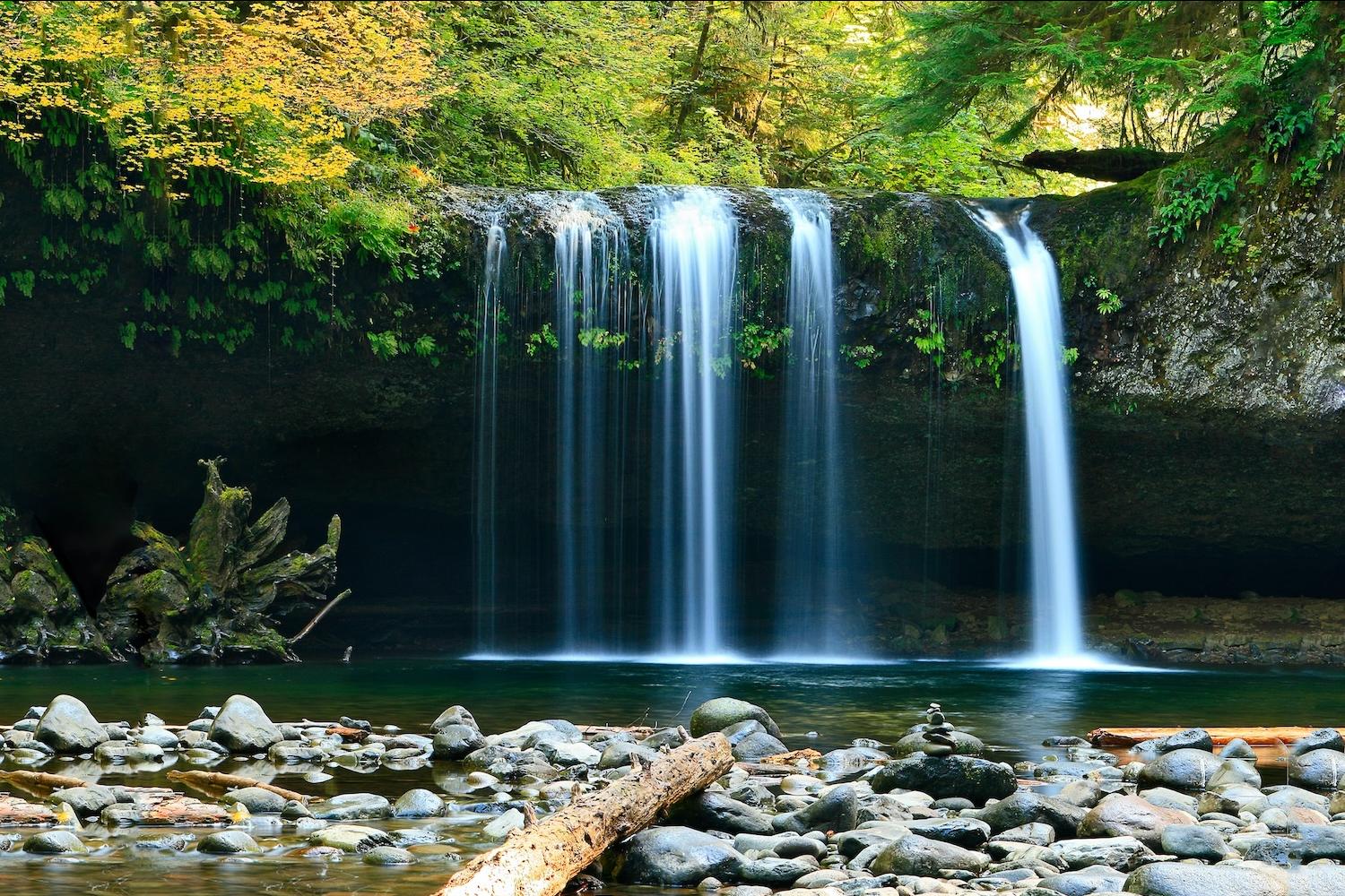 Nature scene - waterfall in the forest - quantifying the value of nature 