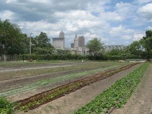 Ohio-City-Farm-1024x768.jpg