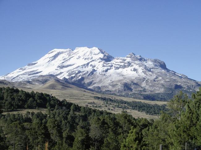 Volkswagen Biodiversity Initiative To Establish Nature Corridor in Mexico