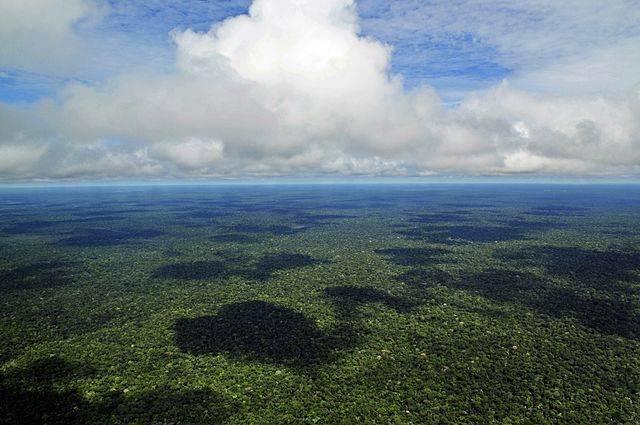 Rainforest-Amazonas.jpg
