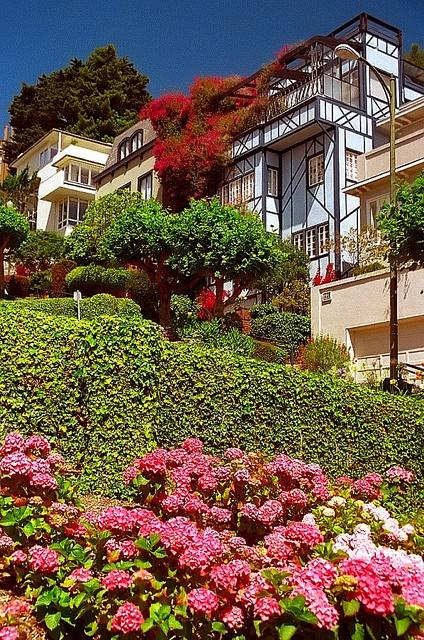 San_Francisco_residence_Airbnb_DOhmer.jpg San_Francisco_residence_Airbnb_DOhmer.jpg