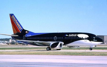 Shamu_Plane_new.jpg
