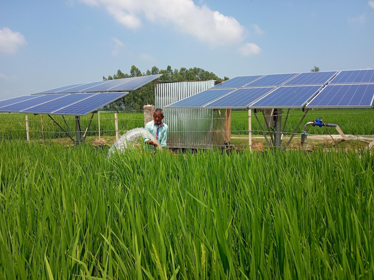 Smallholder farmers solar irrigation