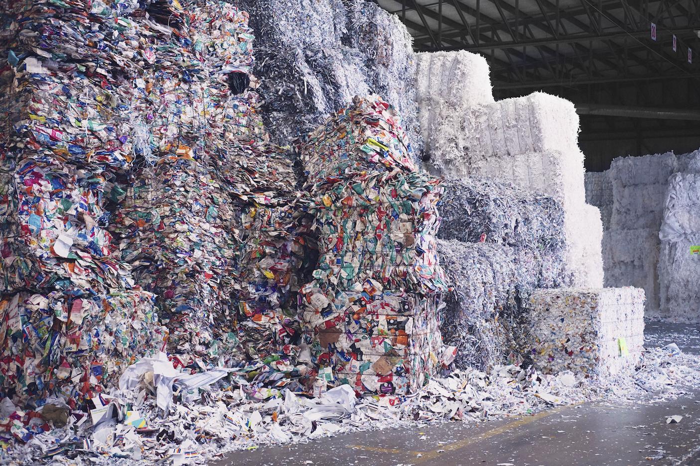 No Need to Recycle, These Disposable Coffee Cups Are Made of Dirt - CNET