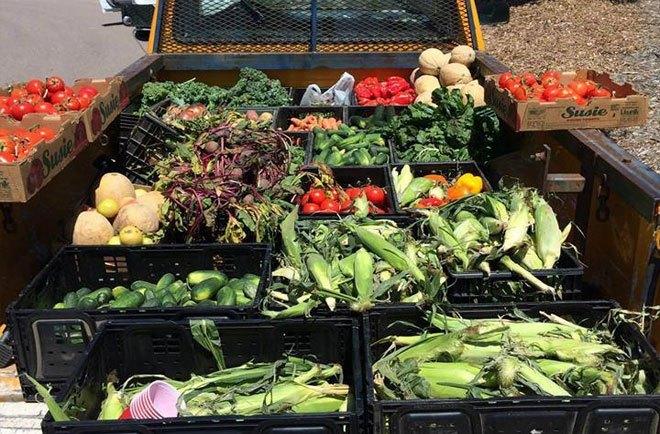 The-Foraged-Feast-delivery-truck-is-loaded-with-fresh-produce-for-delivery-to-Denver-food-service-organizations..jpg