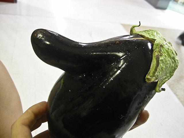 This-Pinocchio-nosed-eggplant-is-still-ripe-for-grilling.jpg