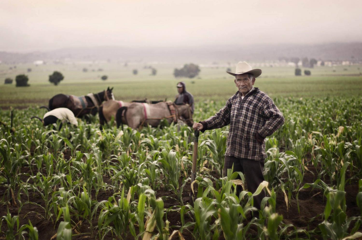 TobaccoFarmers.jpg