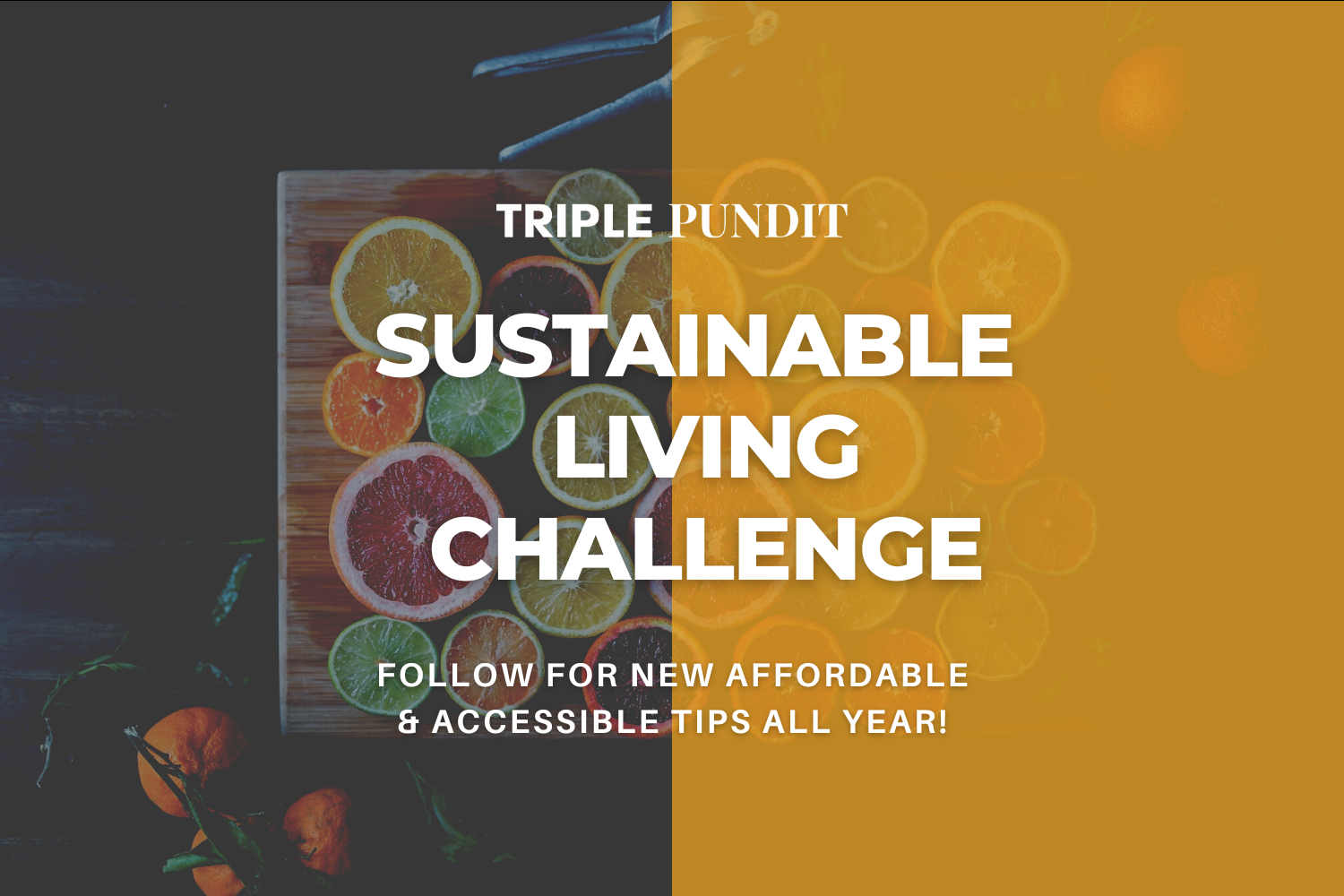 TriplePundit 2024 Sustainable Living Challenge